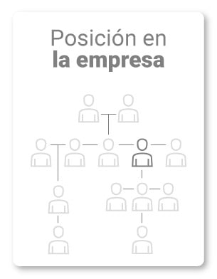 6. ¿Cuál es tu rol o posición en la empresa?            ¿Qué implica?