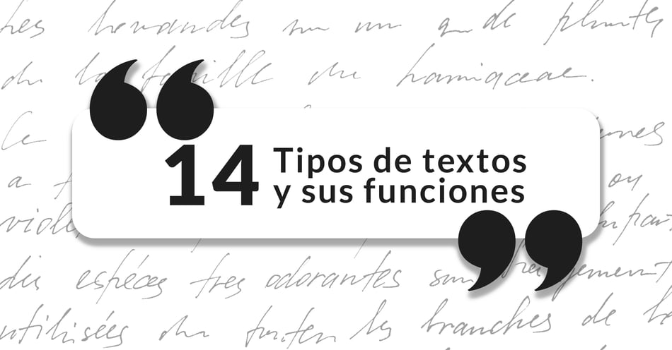 14 tipos de textos y funciones