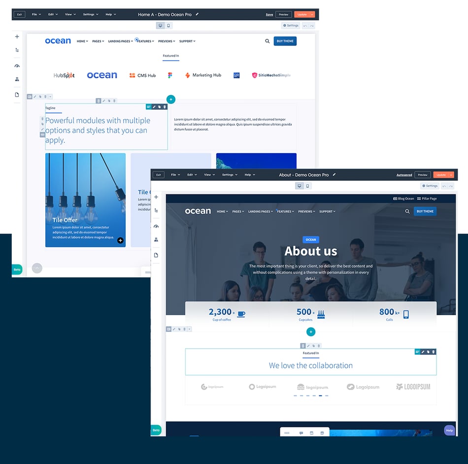 Theme Premium o Diseño único para tu sitio web en el CMS de HubSpot