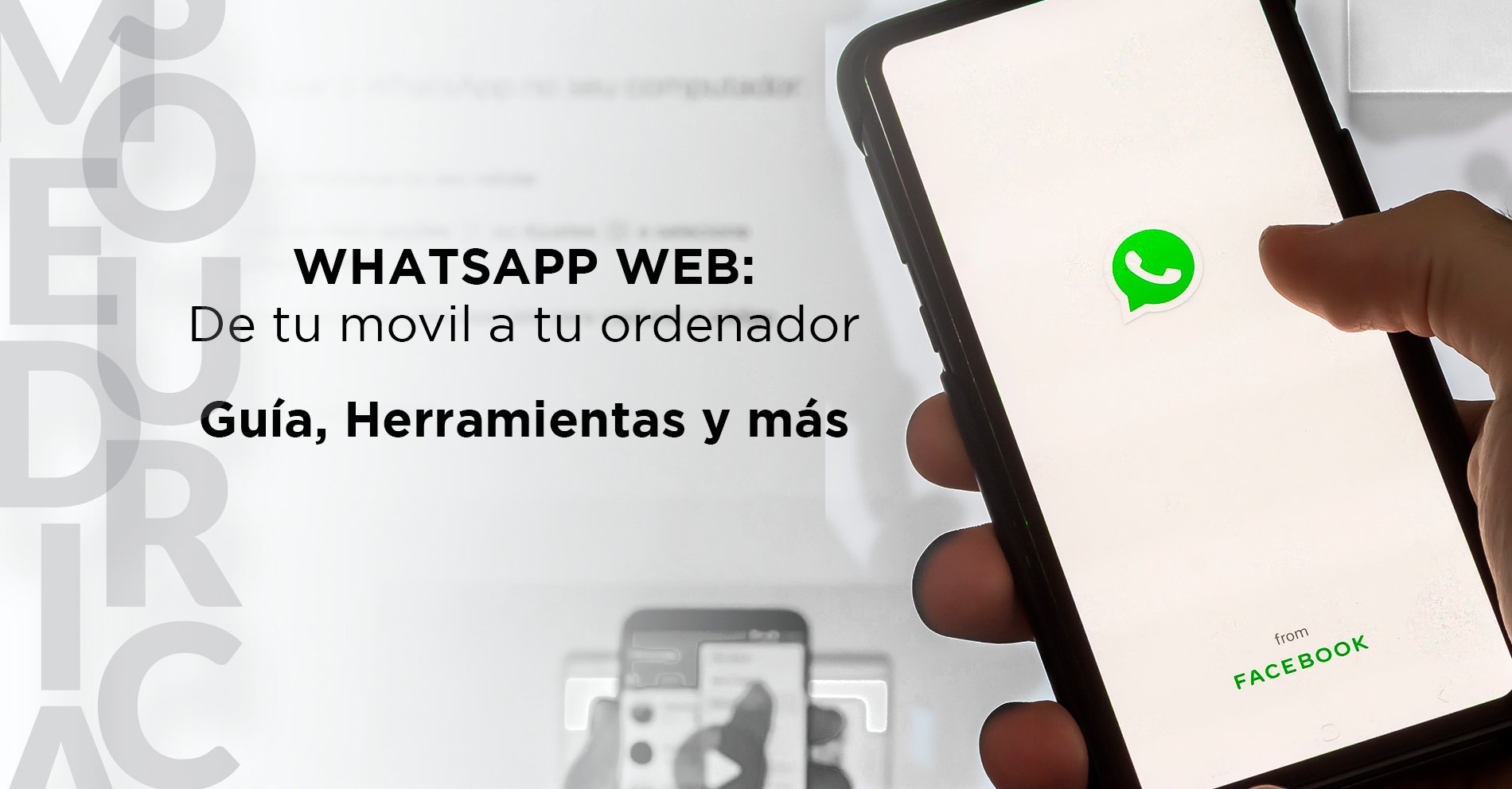 Whatsapp Web_ Guía