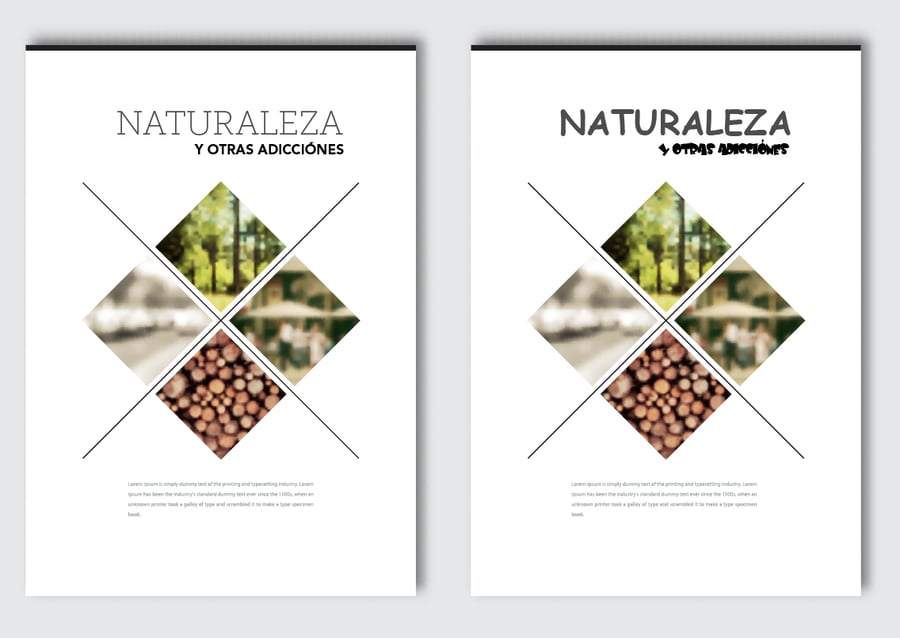 diseno-grafico.png