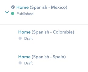 paginas-idiomas-cms