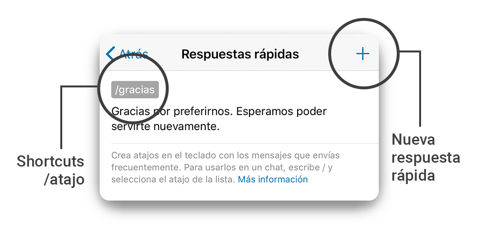 respuessta-rapida-2