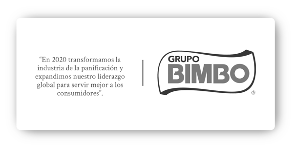 grupo-bimbo-vision