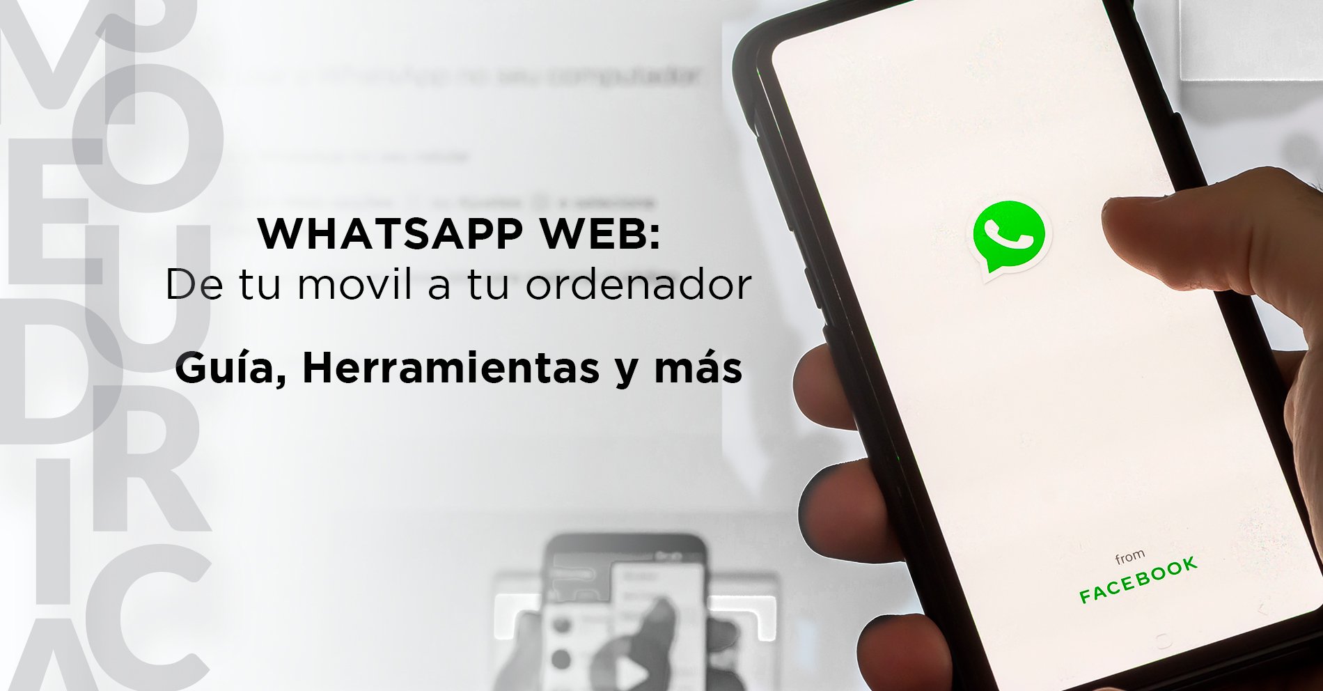 Whatsapp Web_ Guía
