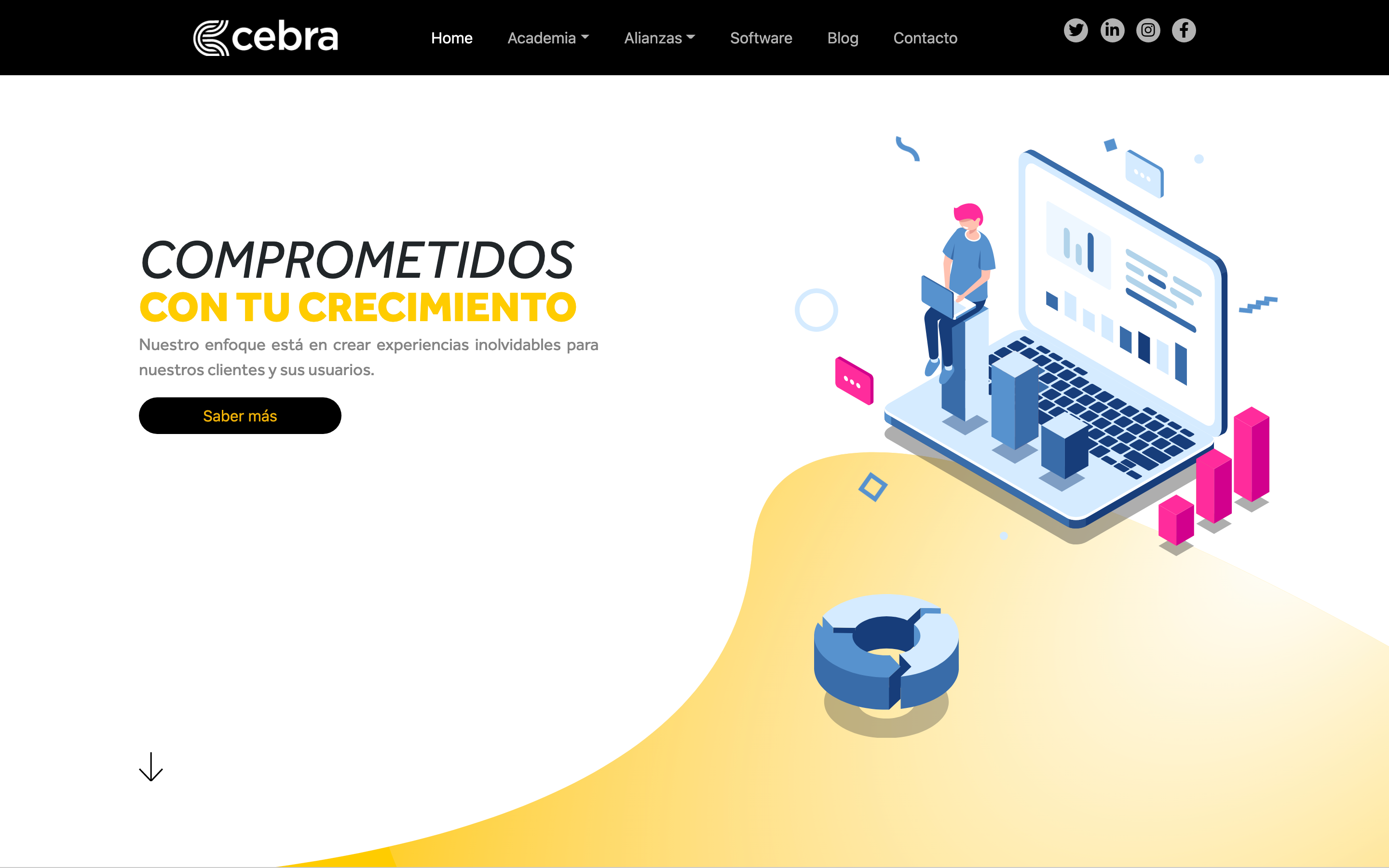 cebra