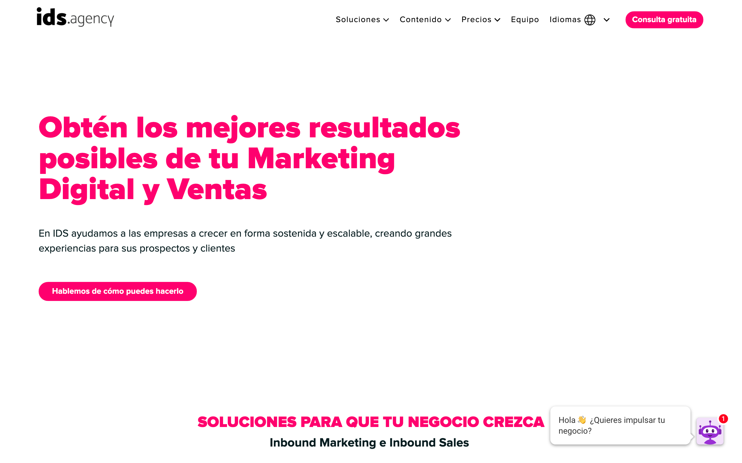 ids-agency