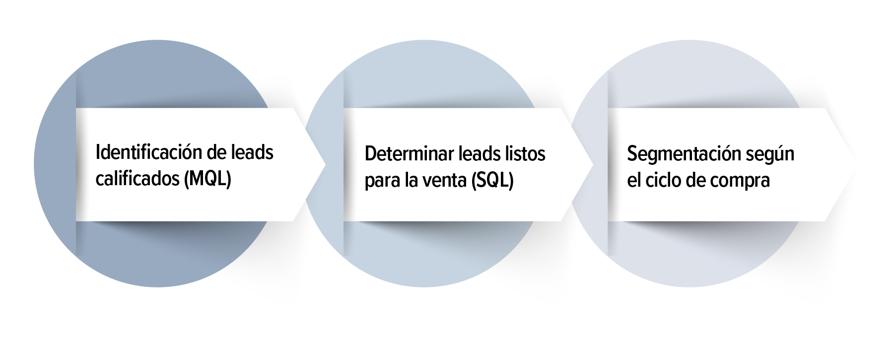 calificacion-y-segmentacion-de-leads