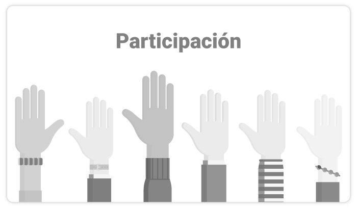 art-29-Participacion