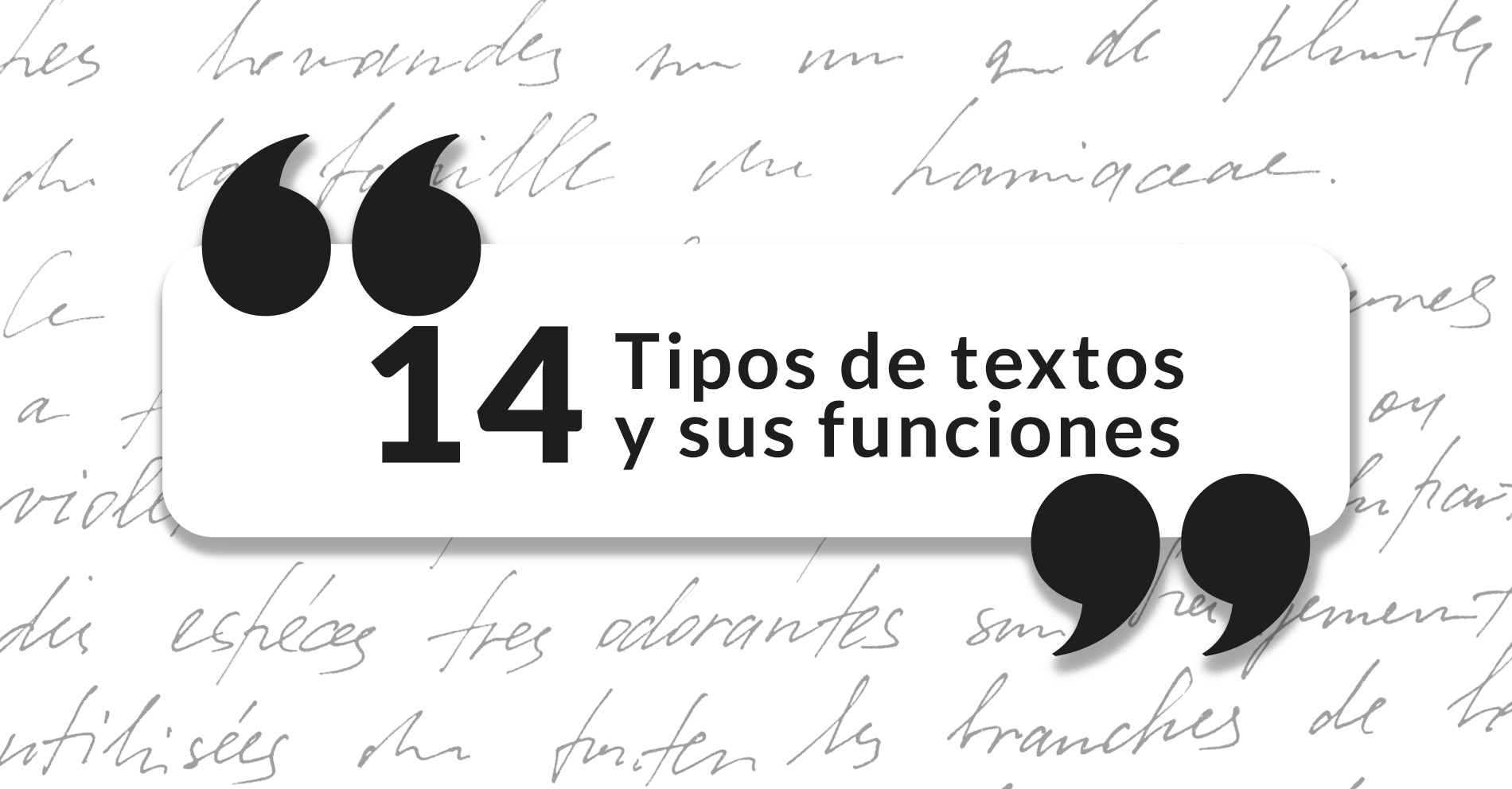 14 Tipos De Textos Y Funciones