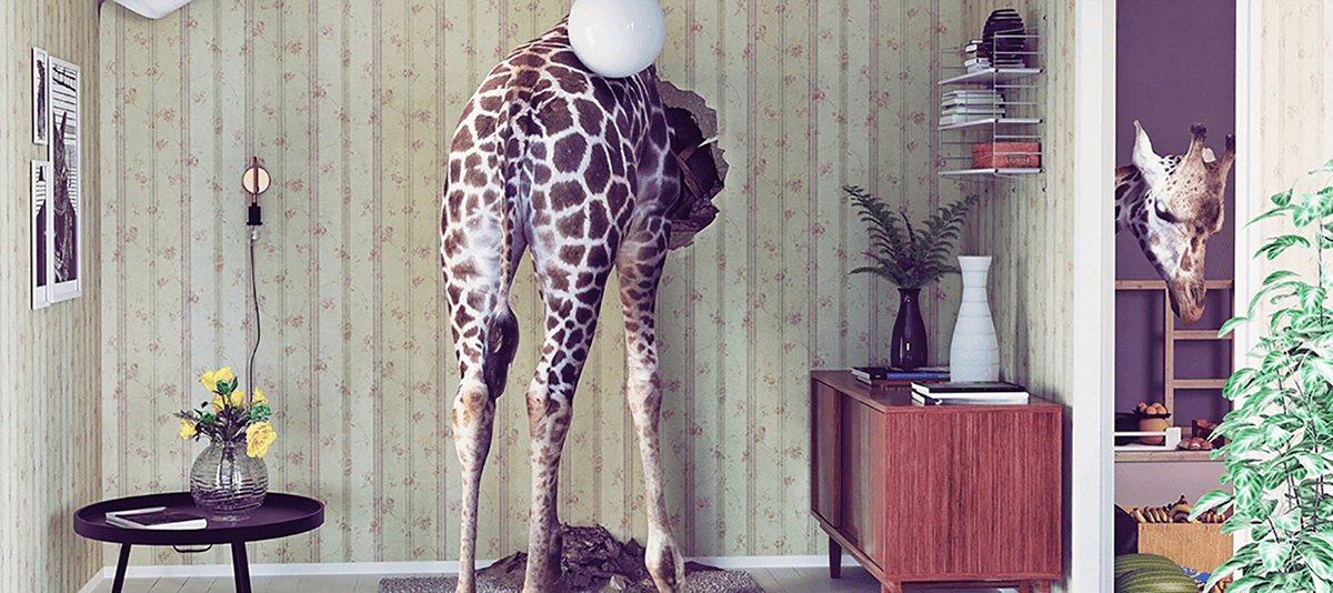 Creatividad en Inbound Marketing: 5 consejos